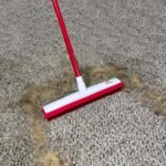 Hair Removal Broom - obrazek 3